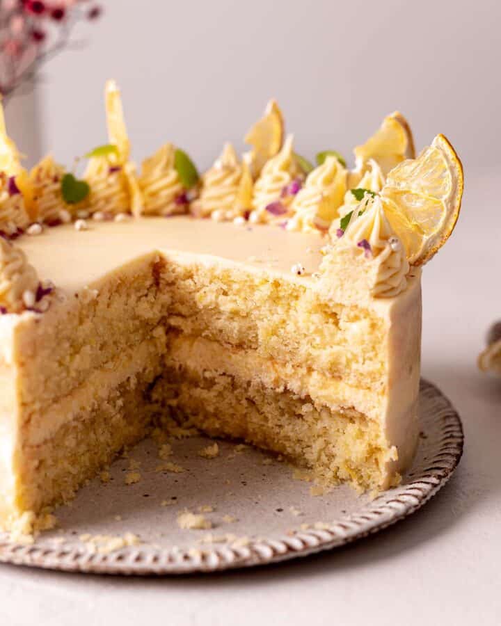 A two layer cake decorated with dried lemon slices.